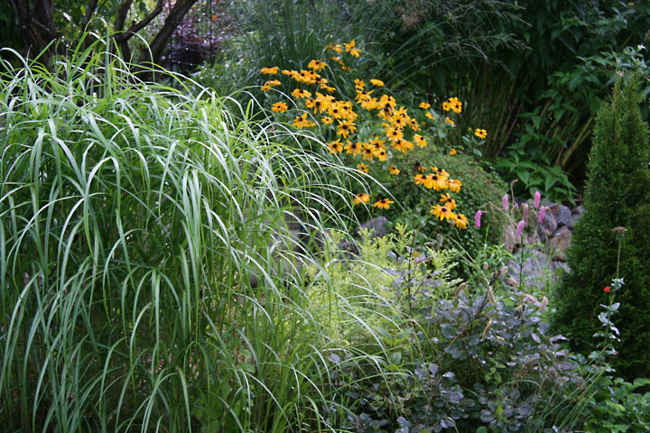 Aout2012-0823880836.jpg