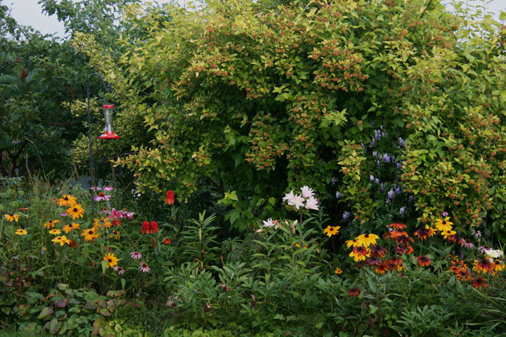 Aout2012-0823880852.jpg