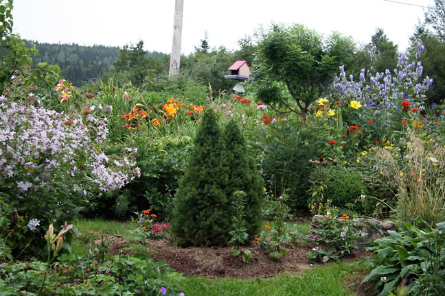 Aout232009034.jpg