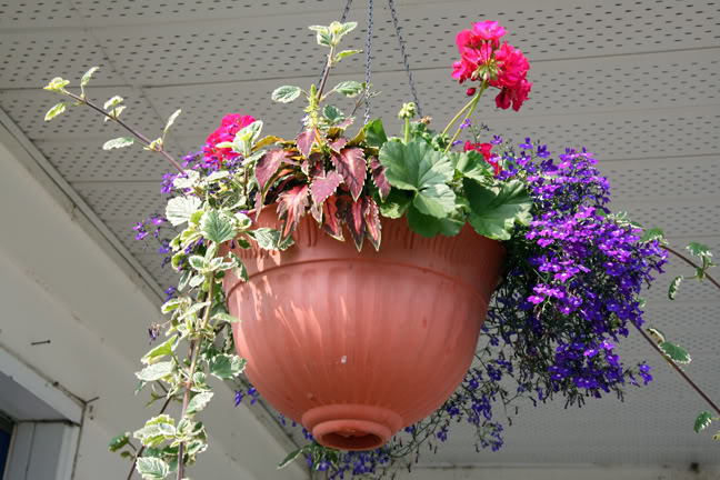 Aout232009065.jpg
