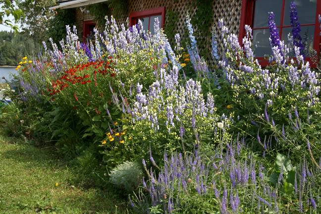 Aout232009070.jpg