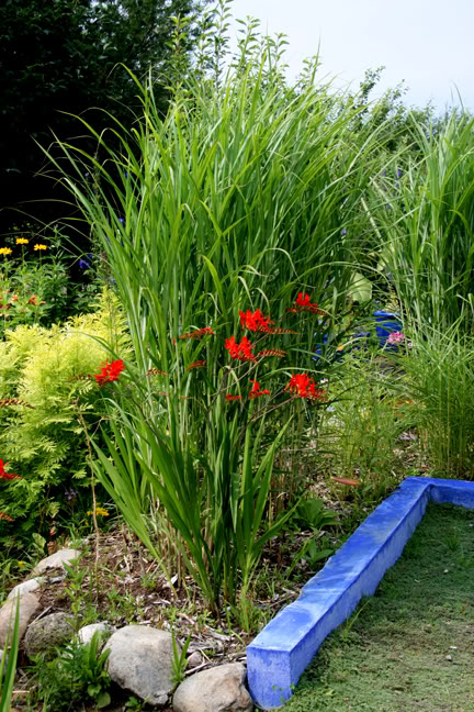 Aout232009090.jpg