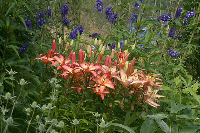 Aout232009094.jpg