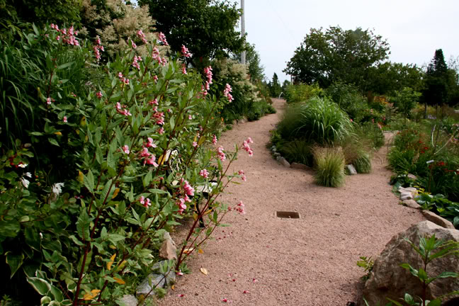 Aout232009119.jpg