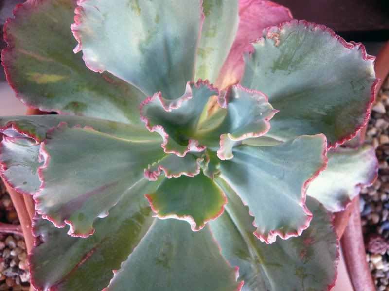 aP1050056.jpg