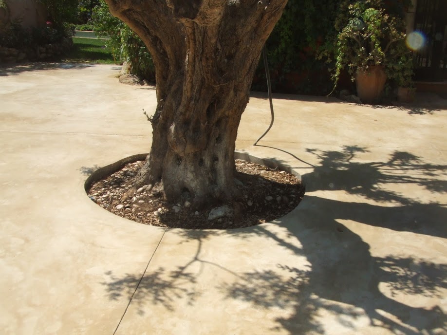 aplitec.hor+2012+casa+en+el+Porxinoll%2528+Javea%2529+034.jpg