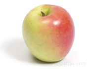 apple_goldensupreme.jpg
