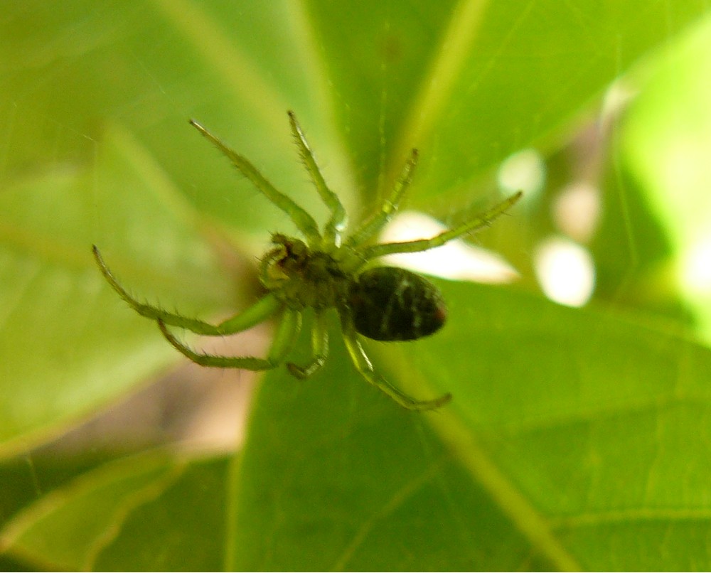 araa1jh3.jpg