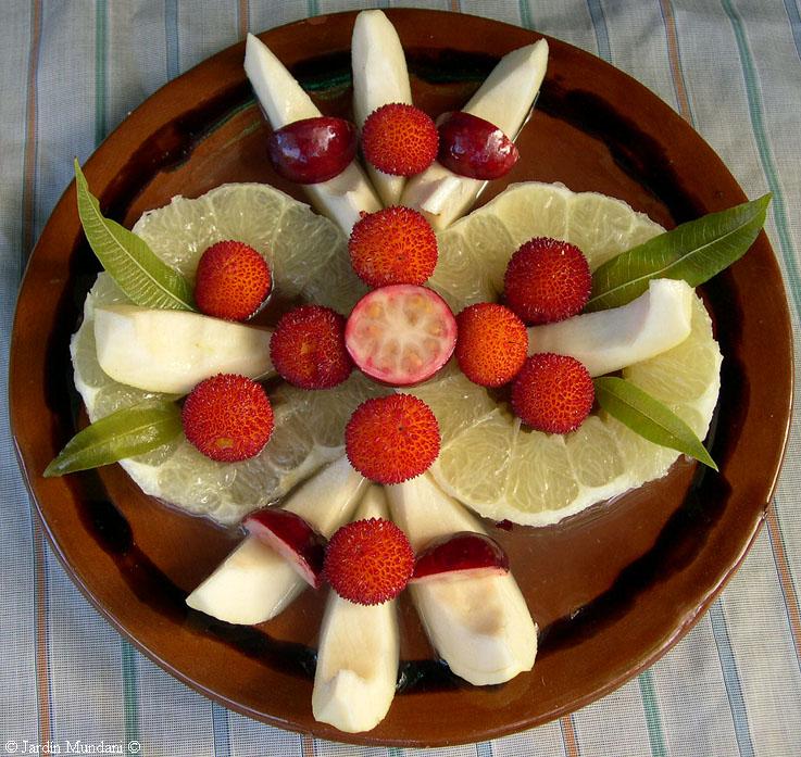 arboces-pomelo-herba-lluisa.jpg
