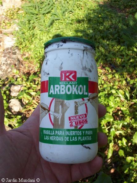 arbokol.jpg