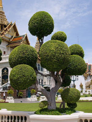 arbol-frente-al-templo-del-gran-palacio-en-bangkok-tailandia-.jpg