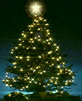 arbol1.jpg