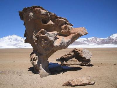Arbol_de_piedra.JPG