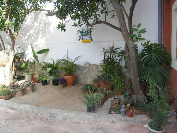 arboles.jpg