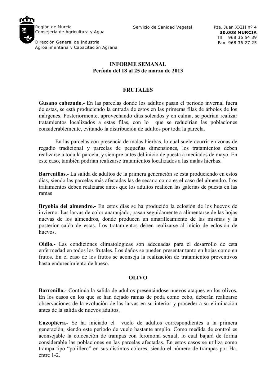 archivo1.jpg