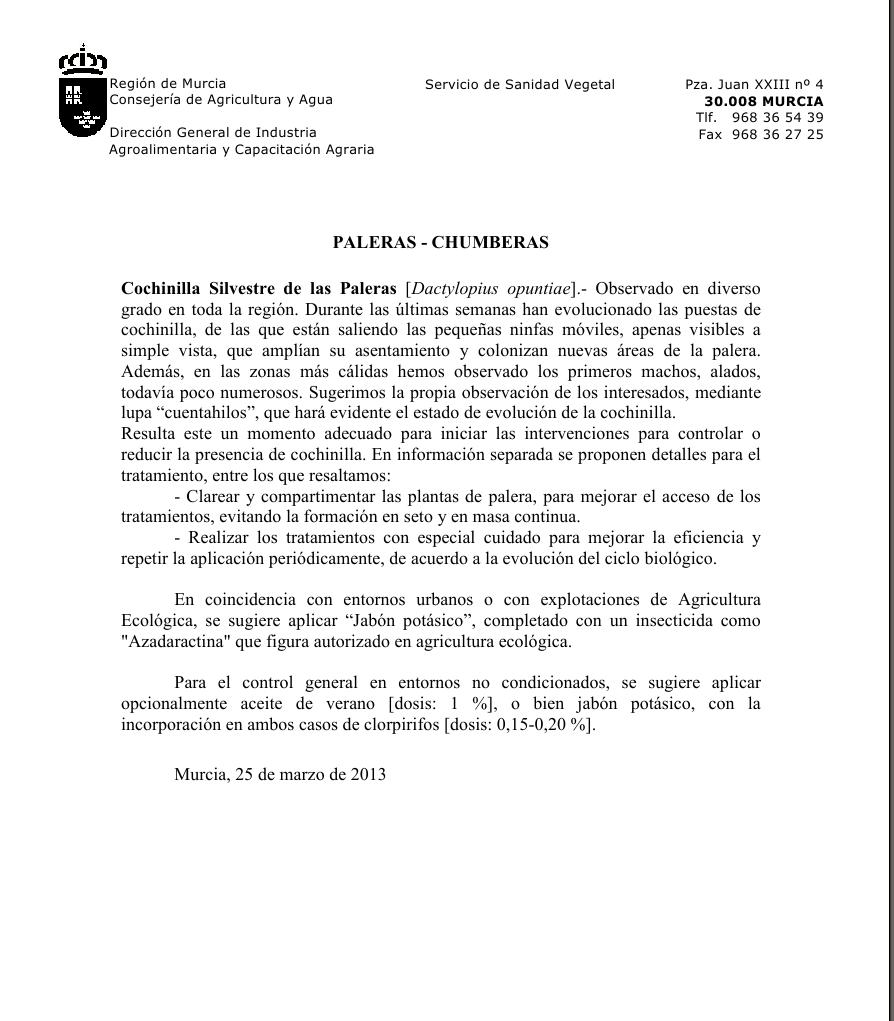 archivo1.jpg