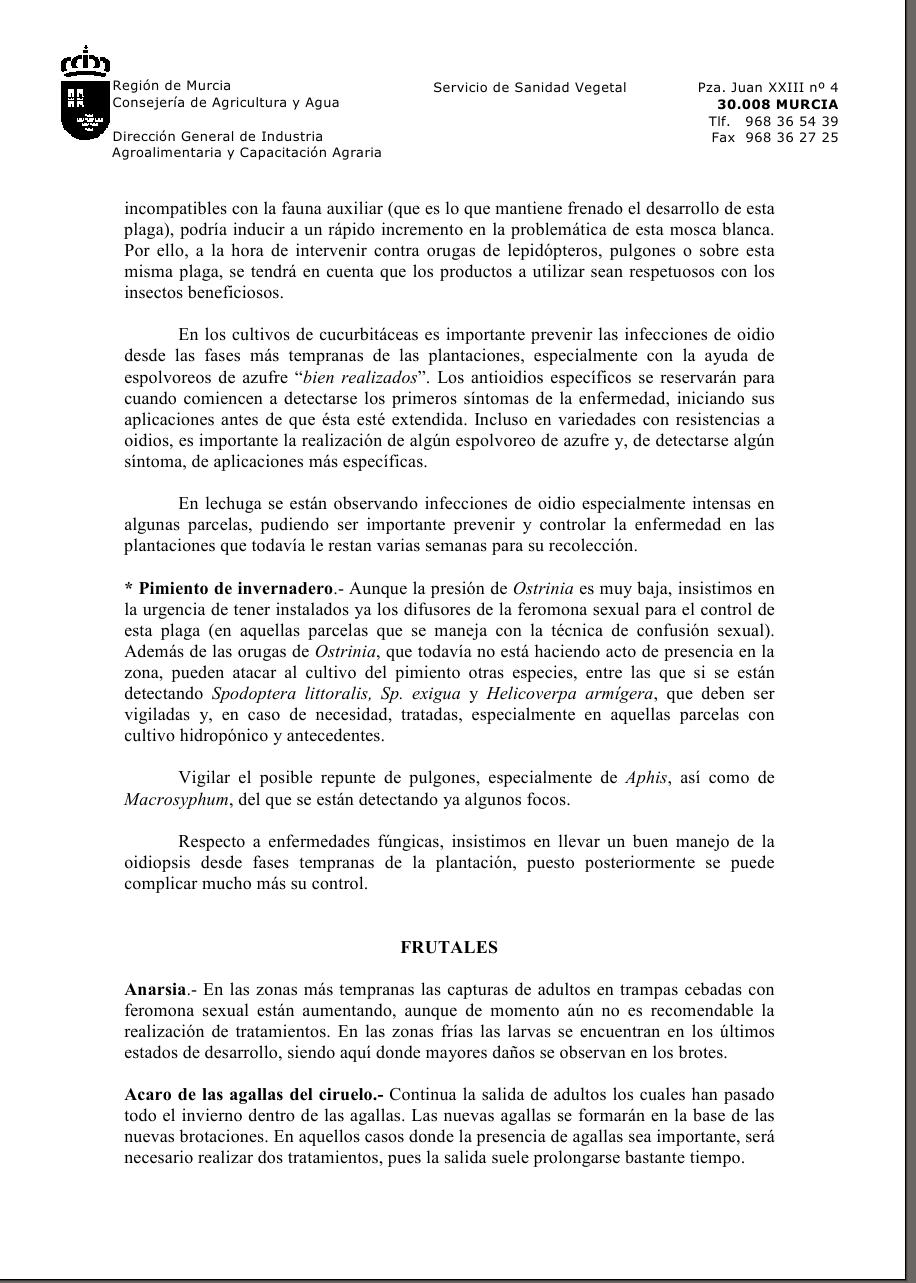 archivo1.jpg