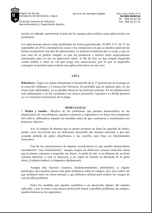 archivo1.jpg