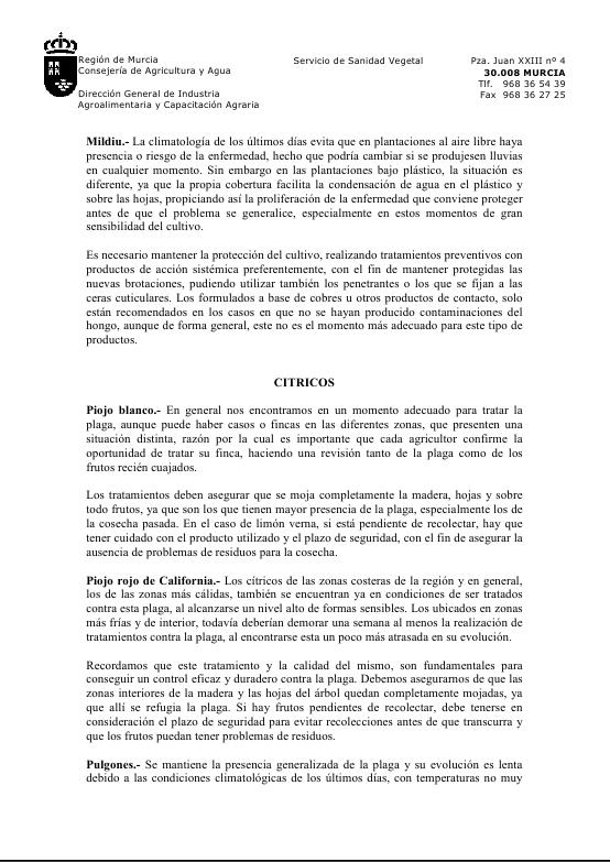 archivo1.jpg