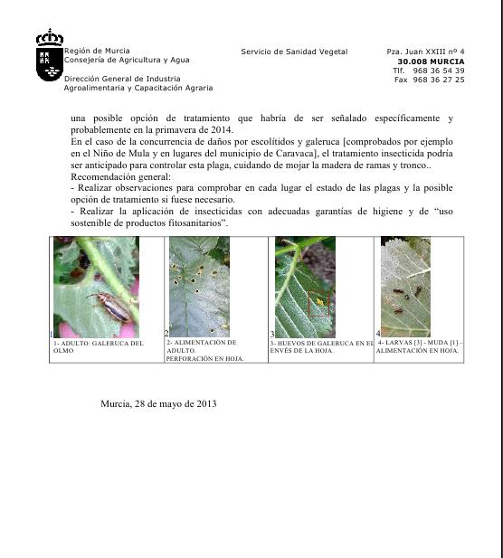 archivo1.jpg