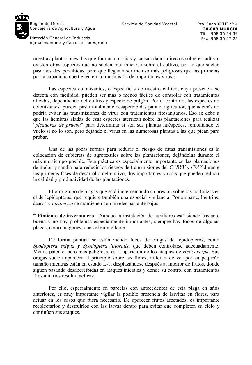 archivo1w.jpg