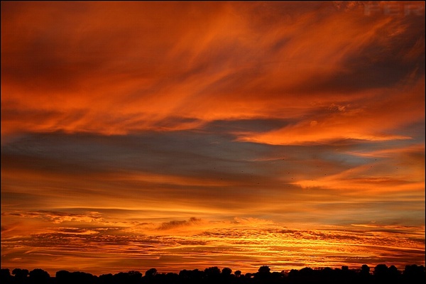 ardeelcielo_fer600.jpg