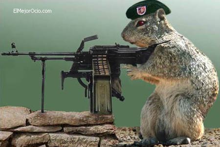 ardilla_guerrillera.jpg
