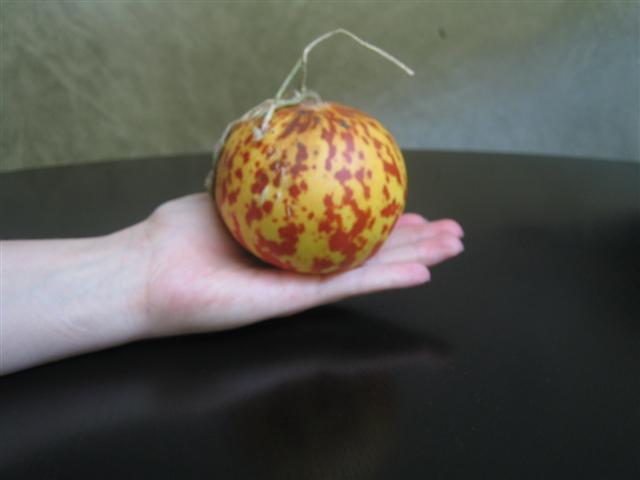 armenian-tigger-melon-whole-small.jpg