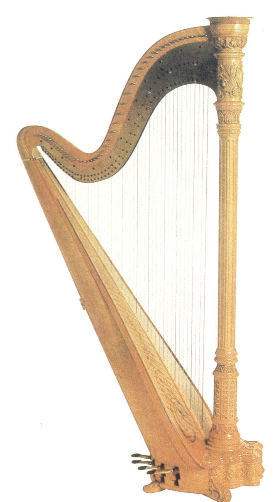 arpa.JPG
