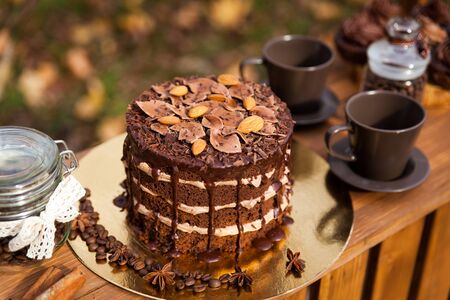 arra-de-chocolate-o-de-pie-con-los-dulces-choco-torta-y-otras-golosinas-en-parque-del-oto%C3%B1o.jpg