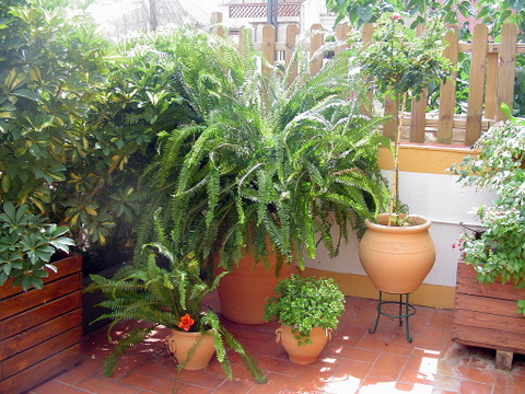 arx1189985214u.JPG