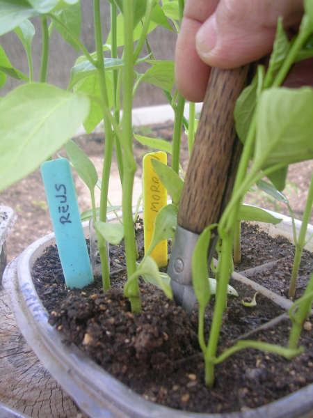 arx1191173318p.jpg