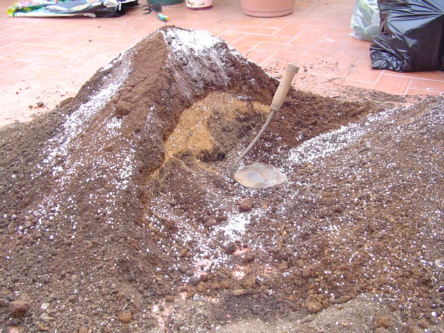 arx1209598094b.jpg