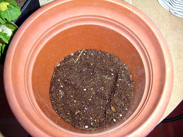 arx1209684658q.JPG