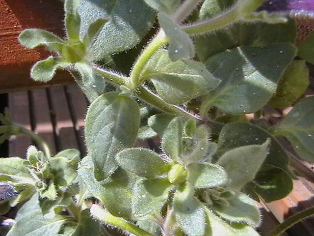 arx1209832141s.jpg