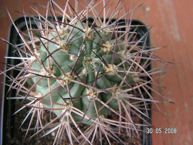 arx1212169650v.JPG