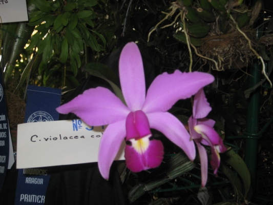 arx1212200564b.JPG