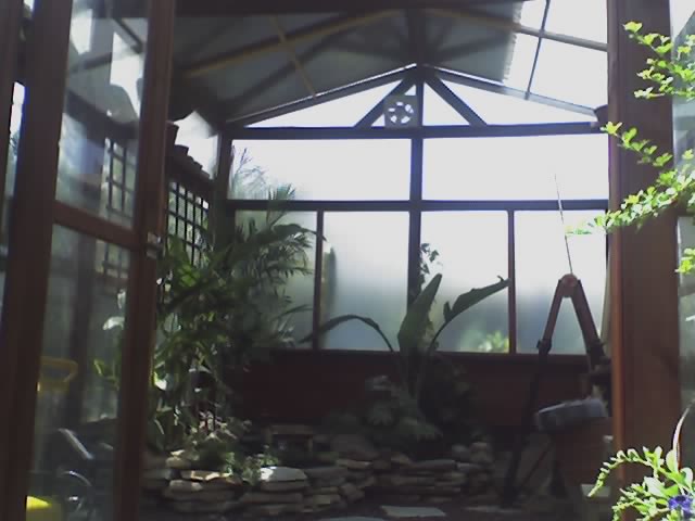 arx1212518622k.jpg