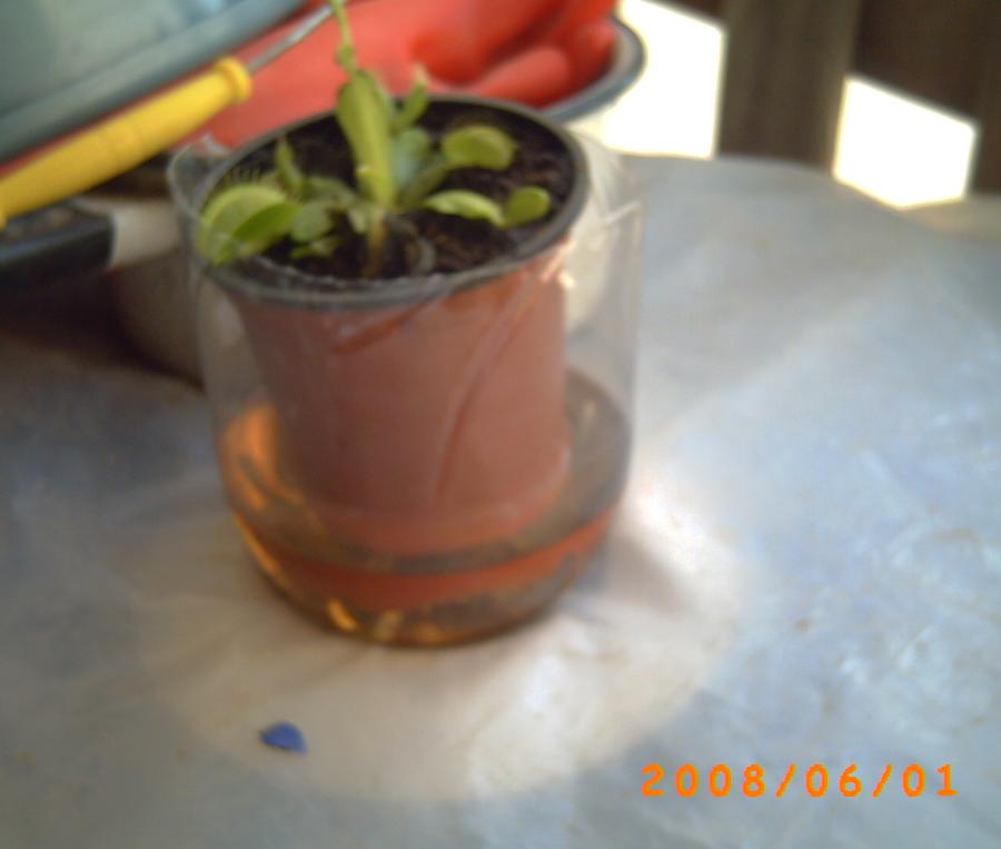 arx1212590671o.JPG