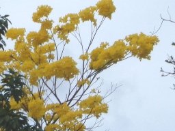 arx1212622852l.JPG