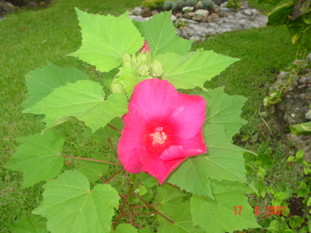 arx1212631136u.JPG