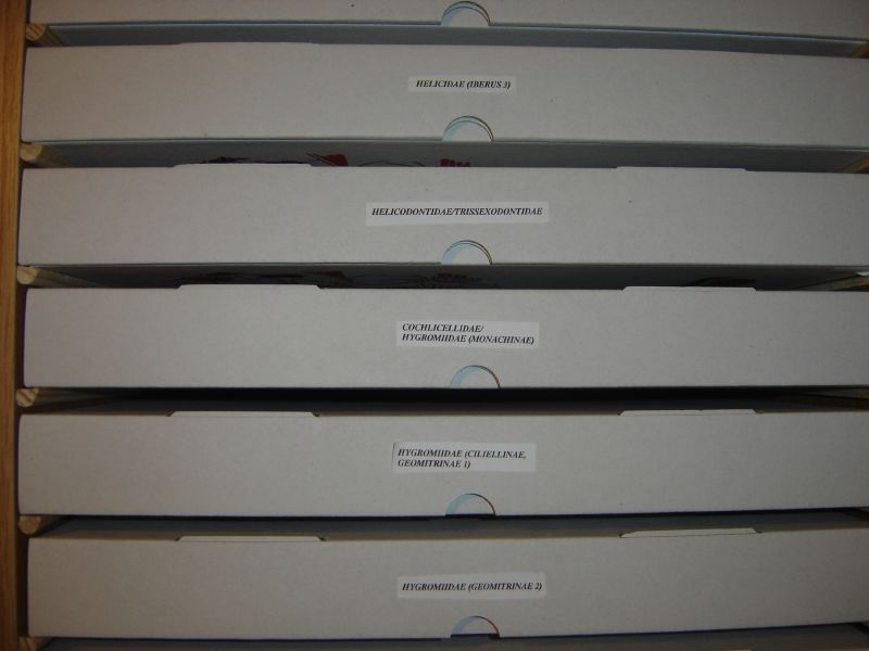 arx1212678846h.jpg