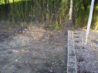 arx1212697056d.jpg