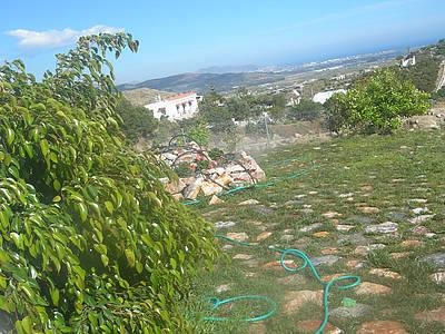 arx1212925673d.JPG