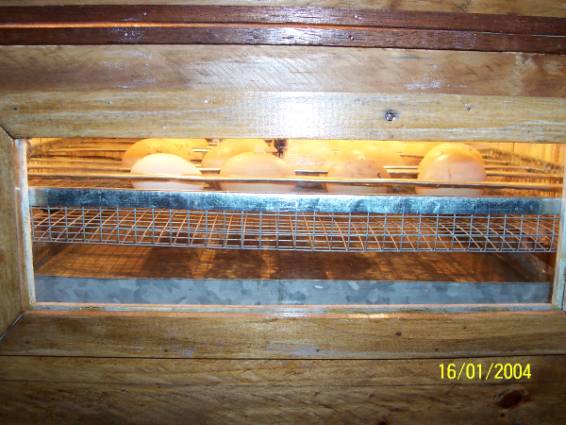arx1217129774e.jpg