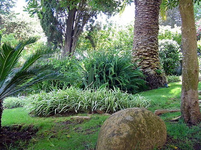 arx1220129749a.JPG