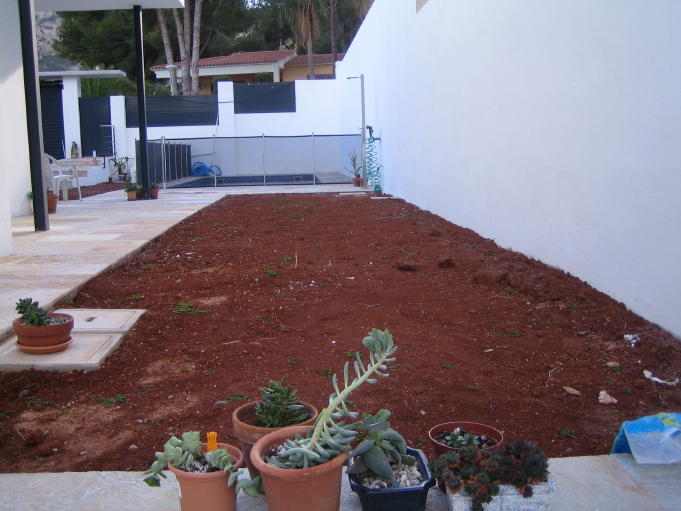 arx1234723399f.JPG