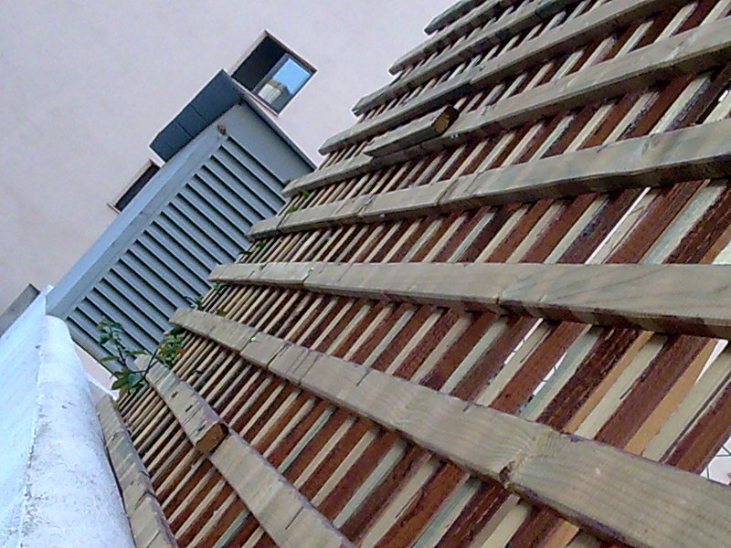 arx1245254438w.jpg