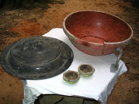 arx1247551800e.jpg