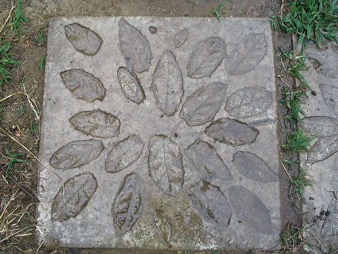 arx1247551880d.jpg